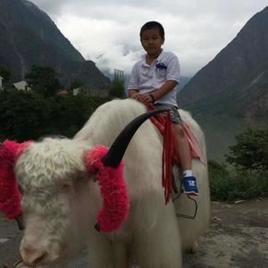 Meet your Posher, Tony